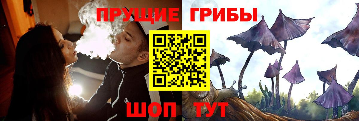 Горно-Алтайск  Галлюциногенные грибы Magic Shrooms  Галлюциногенные грибы Magic Shrooms  Вход с VPN 